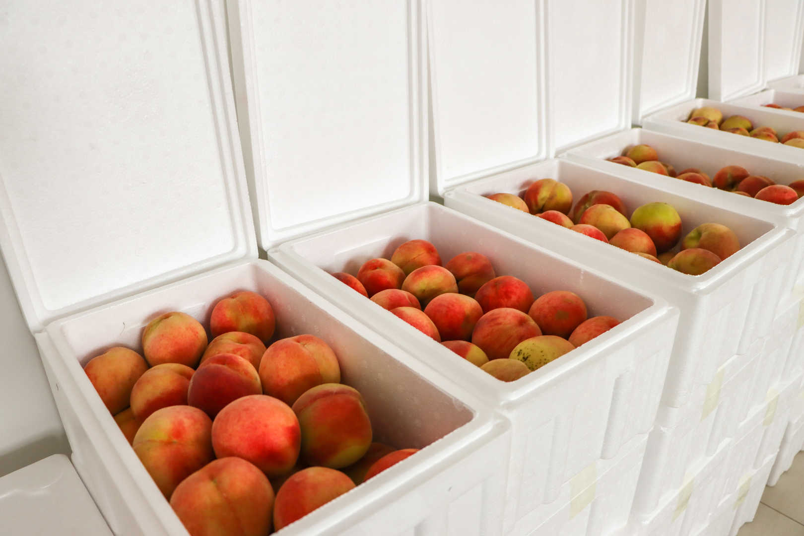 【甜蜜關(guān)懷】濱澳桃香漫工位，助農(nóng)暖心兩相宜！